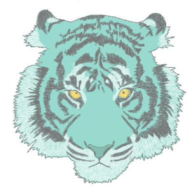 tigerc1
